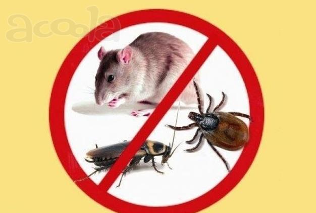 Уничтожение клопов, тараканов, крыс, плесени в Нижнем Новгороде